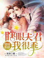 替嫁新娘：瞎眼夫君我很乖